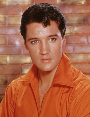 This is the Avatar Image for the Elvis Presley AI Voice and Text to Speech Generator